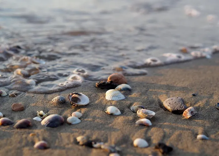 Apartment Modern Flat By The